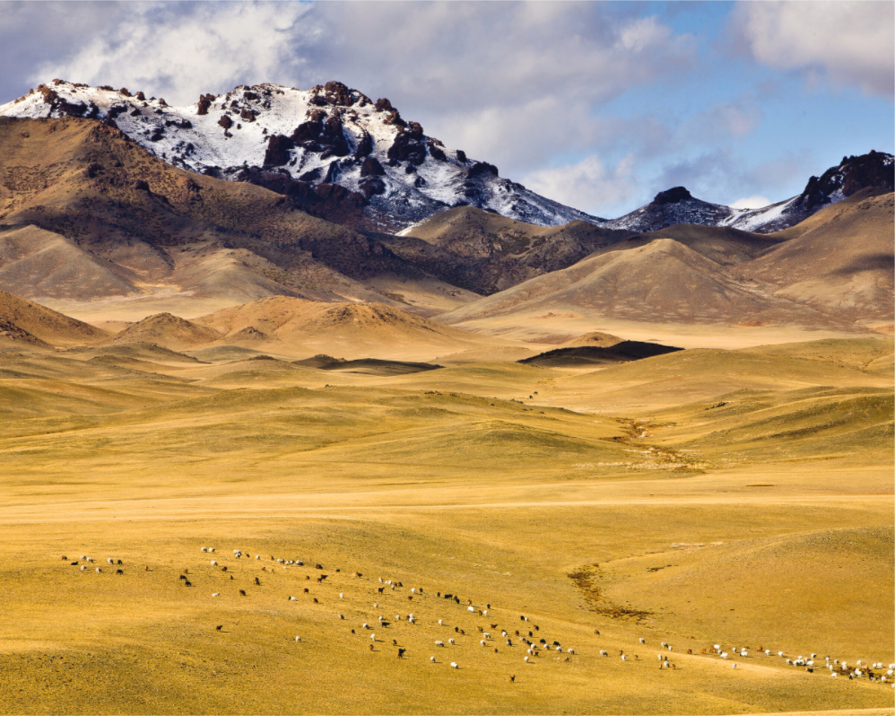 Main image Gobi, Mongolia