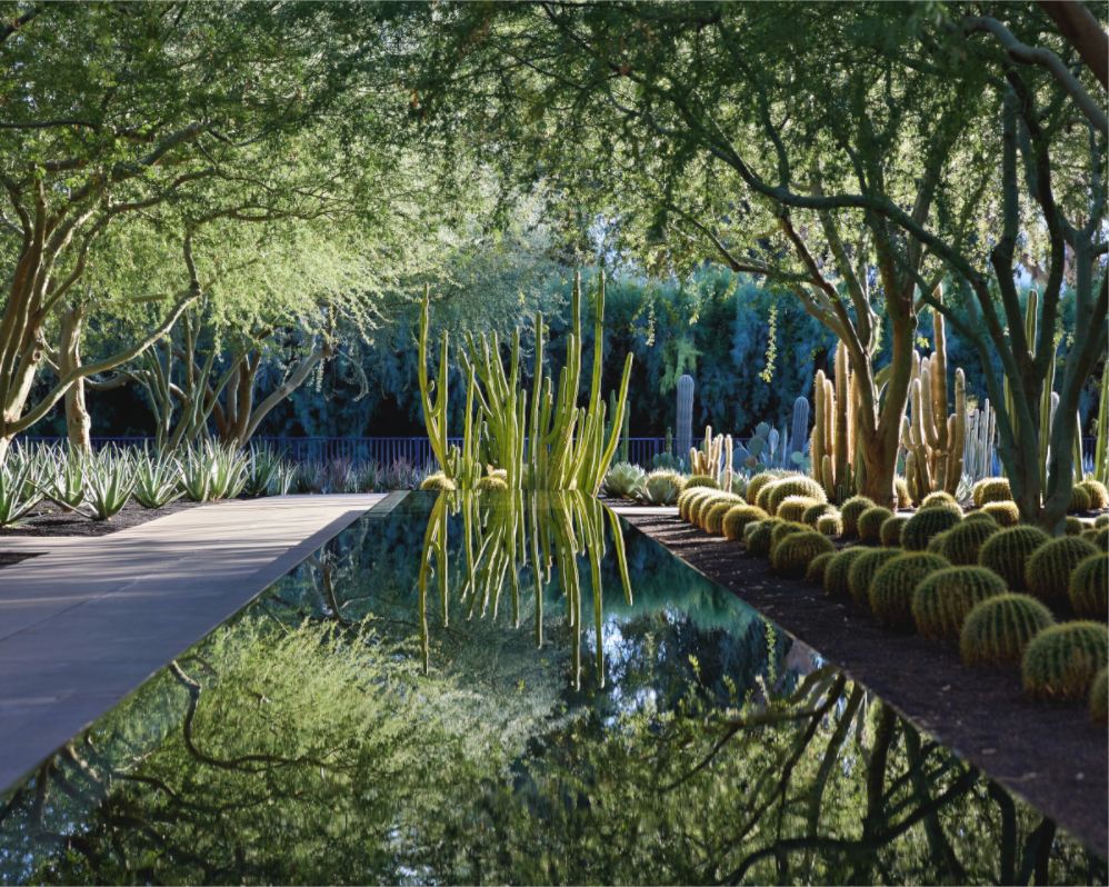 Main image Enchanted Garden